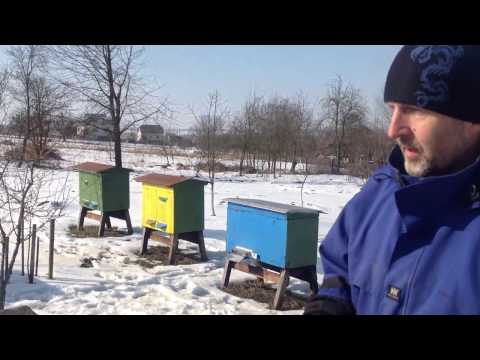 Видео: Утеплення бджіл і огляд пасіки 19.02.2017