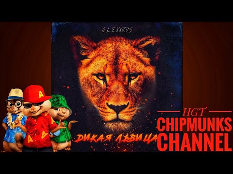 Видео: Alex & Rus - Дикая львица - HGT Chipmunks Channel