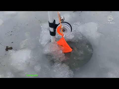 Видео: Ловля щуки на жерлиці у відлигу.