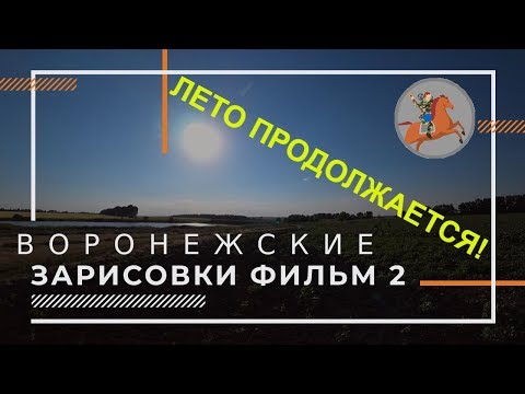Видео: Лето продолжается! Коп монет 2019 в Воронежской области