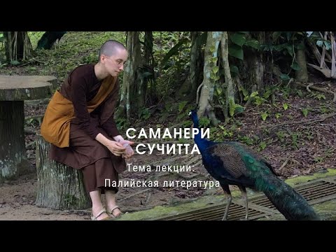 Видео: Саманери Сучитта. Тема лекции: Палийская литература