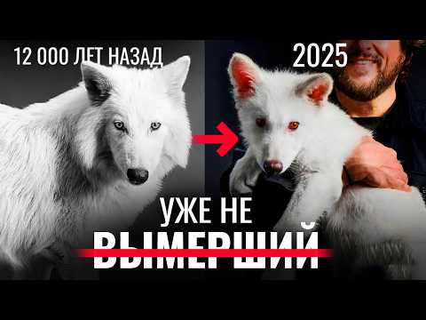 Видео: Воскрешение вымерших животных уже началось. Клонирование Лютоволка