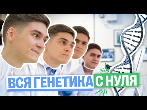 Видео: ВСЕ ТИПЫ ГЕНЕТИЧЕСКИХ ЗАДАЧ С НУЛЯ за 5 часов | Марк Ламарк