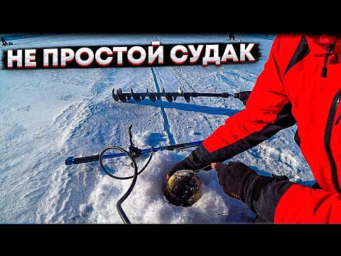 Видео: Погоня за ТОЛСТЫМ весенним СУДАКОМ / В ОГРОМНОЙ стае рыбы