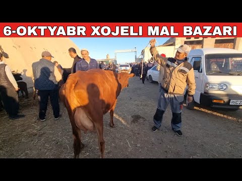 Видео: 6-ОКТЯБРЬ/ХОЖЕЛИ МАЛ БАЗАРЫ/СКОТНЫЙ РЫНОК/BUQALAR/BIG BULLS IN THE WORLD/BIG COW