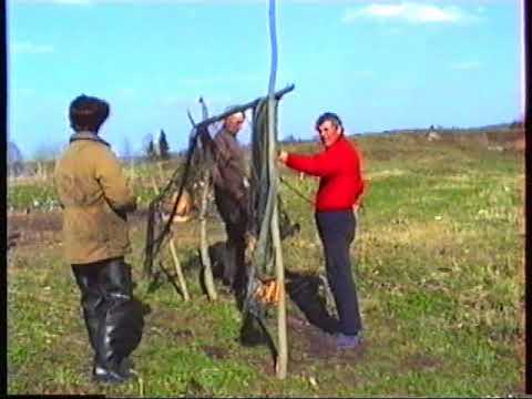 Видео: Водлозеро в мае 1995