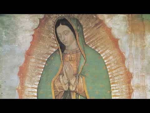 Видео: Медитация за здраве, изцеление и защита: В утробата на Светата Майка