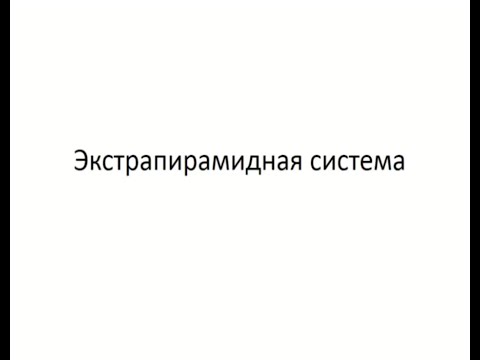 Видео: Андреев В.В. Экстрапирамидная система и координация движений.