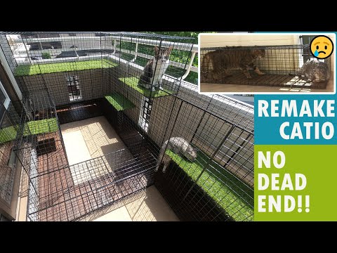 Видео: Я переделал Катио  без тупика