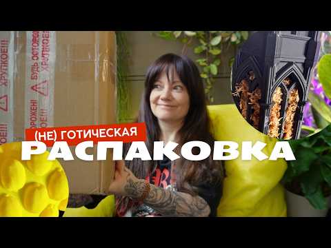 Видео: Распаковка опор, кашпо и подставки для растений + пересадка монстеры Burle Marx Flame