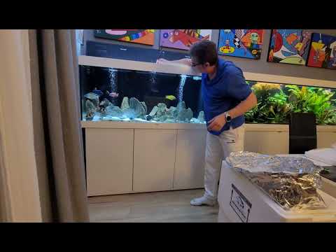 Видео: АУЛОНОКАРЫ