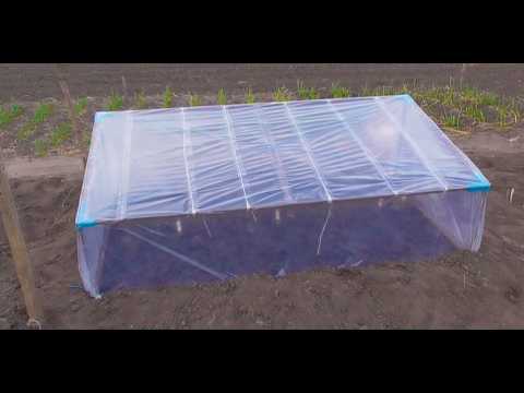 Видео: Парник для розсади – це легко! / Теплиця, чи парник, що краще? / Щоб не рвалася плівка на парнику.