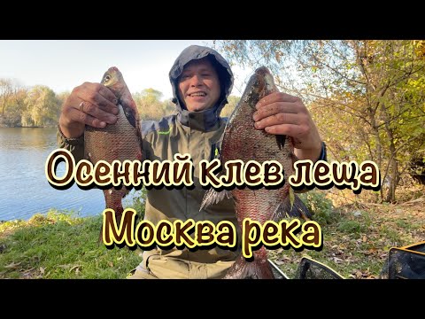 Видео: Рыбалка на фидер. Осень. Прекрасный утренний клев!