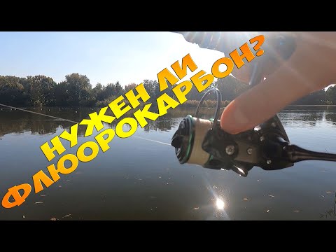 Видео: Влияет ли флюорокарбон на клев в мормышинге?