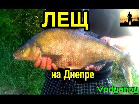 Видео: ЛОВЛЯ ЛЕЩА И КАРАСЯ НА ДНЕПРЕ!!! Рыбалка с ночевкой часть 2.