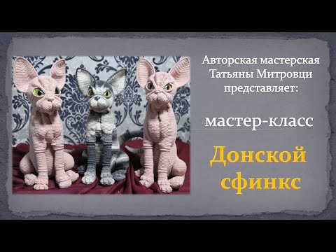 Видео: Донской сфинкс