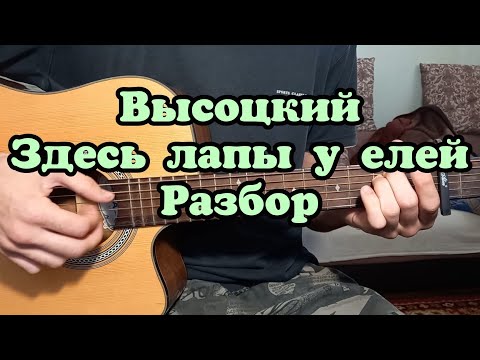 Видео: Владимир Высоцкий "Здесь лапы у елей" разбор ШЕСТИСТРУНКА кавер