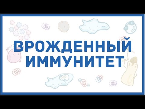 Видео: Врожденный иммунитет