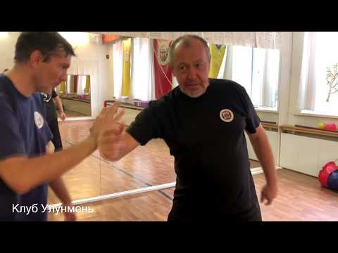 Видео: Вариант туйшоу (часть 2) Тайцзицюань