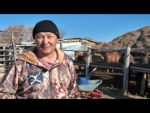 Видео: Офисный работник стал успешным фермером