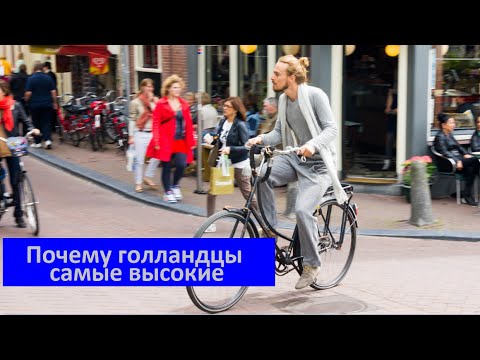 Видео: Почему голландцы самые высокие № 211