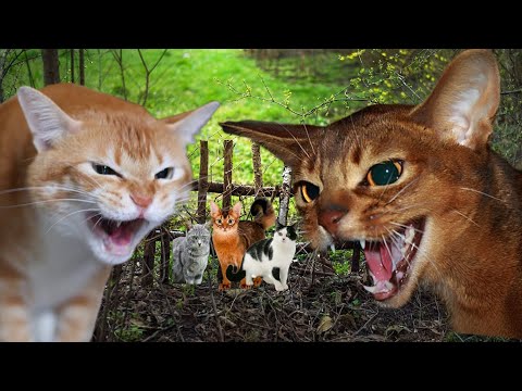 Видео: Коты Воители - Путь Древесного племени/ часть 6