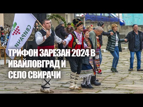 Видео: Трифон Зарезан 2024 година в град Ивайловград и село Свирачи.