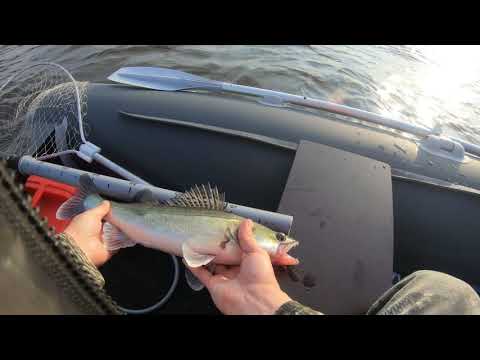 Видео: Ловля судака на джиг. ( Финский залив )