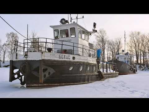 Видео: Бекас