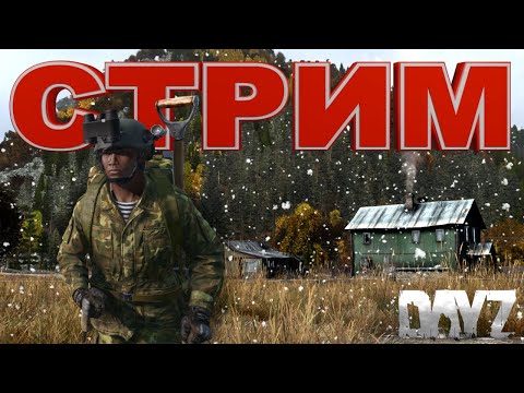 Видео: ВЫЖИВАЕМ НА HINEX \ ЗИМНЯЯ ЧЕРНОРУСЬ\ DAYZ