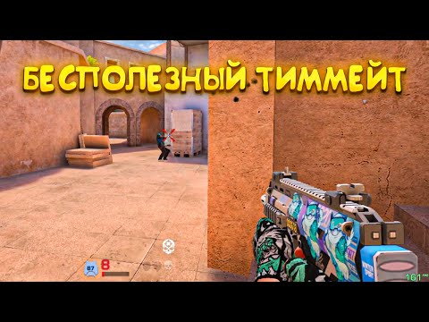 Видео: БЕСПОЛЕЗНЫЙ ТИММЕЙТ😕 | Демка