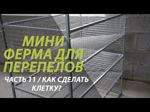 Видео: Мини ферма часть 11 /Сколько стоит сделать клетку для перепелов?