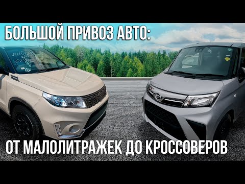 Видео: Срочно! Машины из Японии достаются за сущие гроши! Большой обзор свежего привоза из Японии