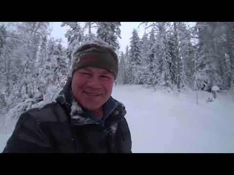 Видео: 20221218 не доехал до озера