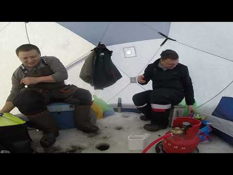 Видео: рыбалка на рефтинском вдхр часть 1. 09.01.2024