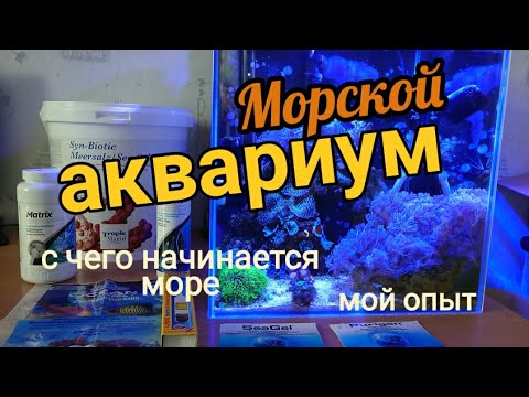 Видео: Мой Морской аквариум: с чего начать, комплектация, содержание.