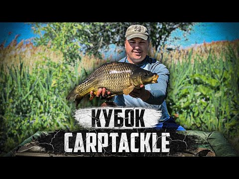 Видео: ЛОВЛЯ КАРПА ВО ВРЕМЯ НЕРЕСТА. Кубок Carptackle. Рыбалка На Высокополье.