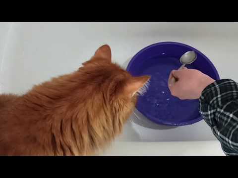 Видео: Свитер от МAX MARA! Как стираю.  Самое большое счастье - это делать людей счастливыми!