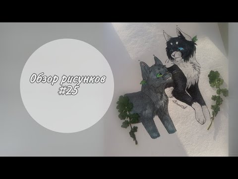 Видео: 🐾Обзор рисунков Котов-Воителей и не только #25🐾