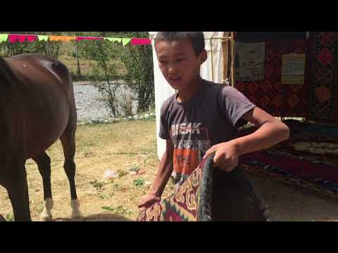 Видео: Ат жабдыктары.  АТ ТОКУУ