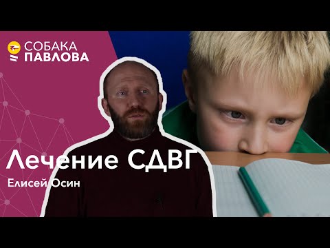 Видео: Лечение СДВГ - Елисей Осин // информирование, изменение требований, фармакология, комфортная среда