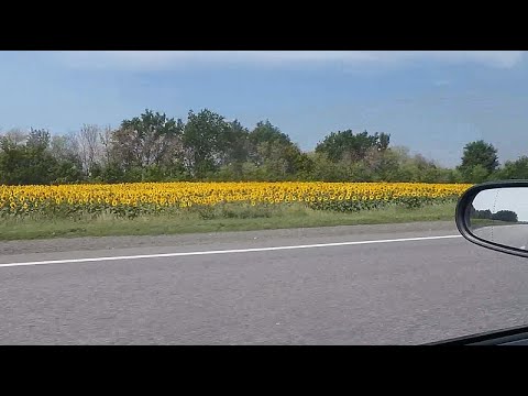 Видео: Приключения 2025 Серия #18. Дорога из Волгограда обратно.