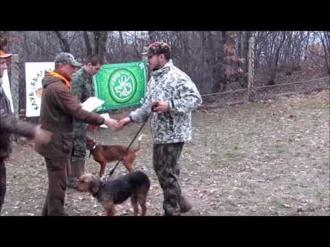 Видео: Пролетна купа на Клуб "Българско гонче" с. Баня 22.02.2014