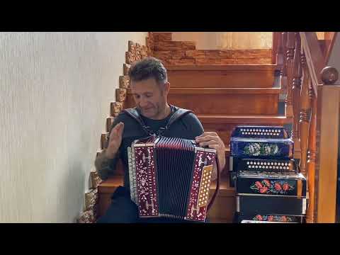 Видео: ГармоньЛюбительская , тональность МИ , изготовлена на заказ. 