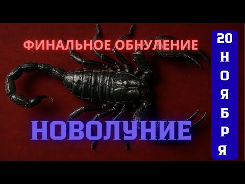 Видео: НОВОЛУНИЕ 20 НОЯБРЯ 2025. ОБНУЛЕНИЕ И НАЧАЛО НОВОЙ ЖИЗНИ. #новолуние #гороскоп #астропрогноздлявсех