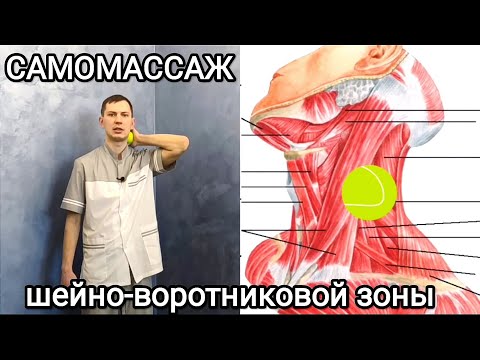 Видео: Самомассаж шейно-воротниковой зоны теннисным мячиком