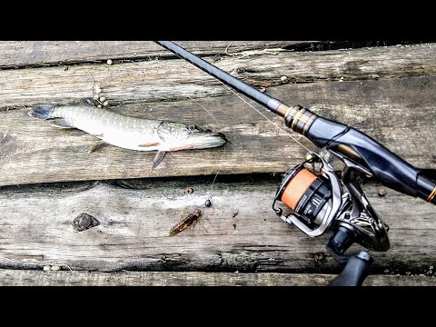 Видео: Shimano 17 Soare CI4+ 706ult "тренировочный тест"