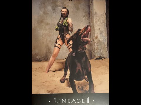 Видео: Осада 31.12.23