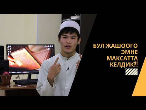 Видео: Бул жашоого эмне максатта келдик?! | Билал Ташпулатов