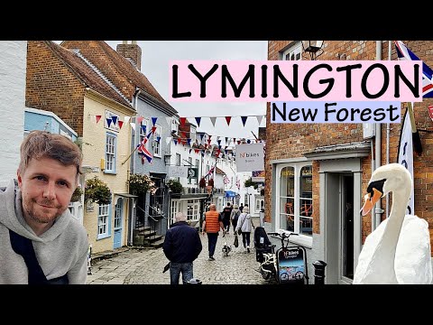 Видео: Почему вам СТОИТ посетить ЛИМИНГТОН в Нью-Форесте!